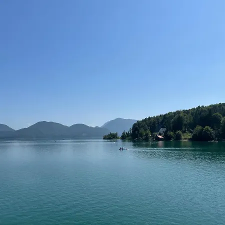 Am